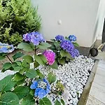 Apartment Funny Fuered *