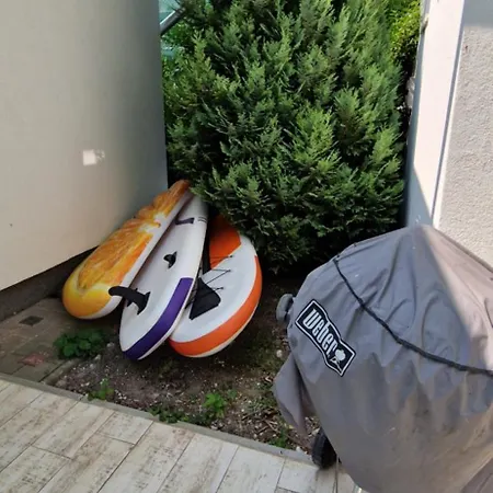 Funny Fuered * 巴拉顿菲赖德