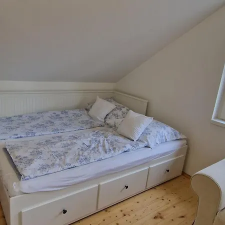 Funny Fuered Apartment