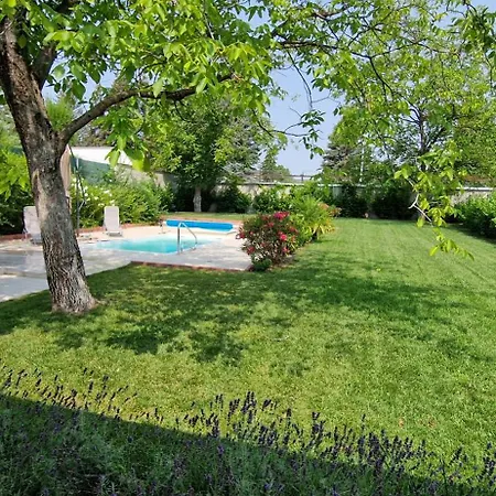 Funny Fuered 公寓 巴拉顿菲赖德