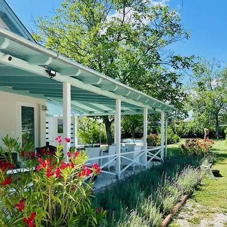 Funny Fuered * 巴拉顿菲赖德