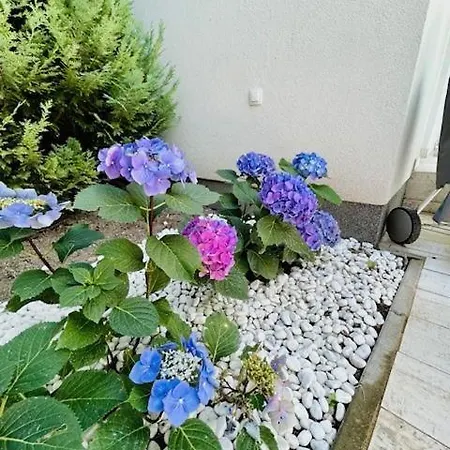 公寓 Funny Fuered *