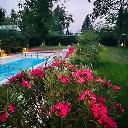 Funny Fuered Apartment Balatonfured