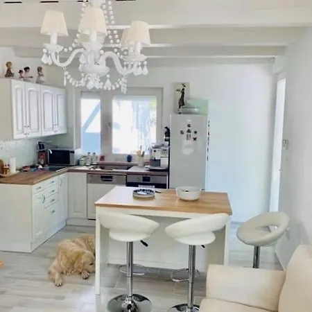 公寓 Funny Fuered 巴拉顿菲赖德