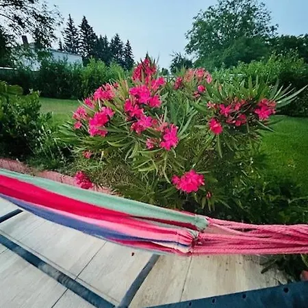 Funny Fuered 公寓 *