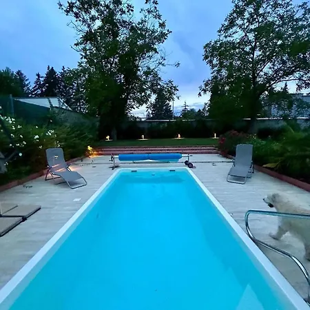 Funny Fuered 巴拉顿菲赖德