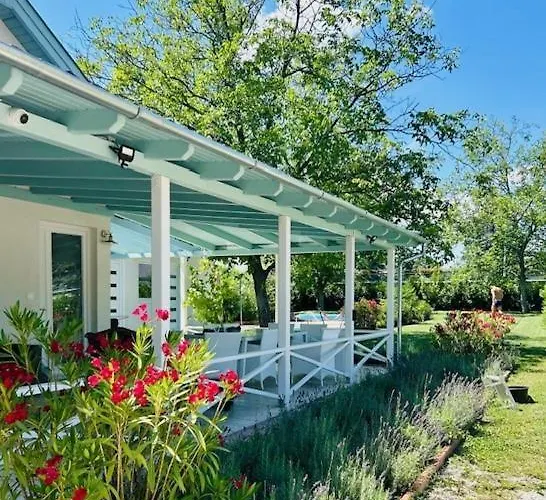 Funny Fuered * Balatonfüred