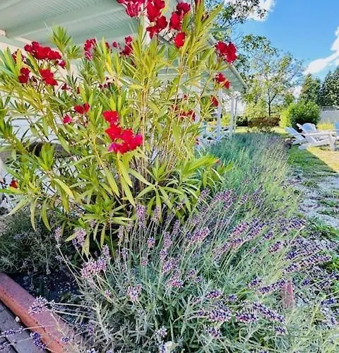 Funny Fuered Apartament