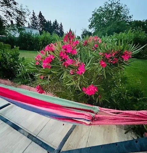 Funny Fuered Apartament *